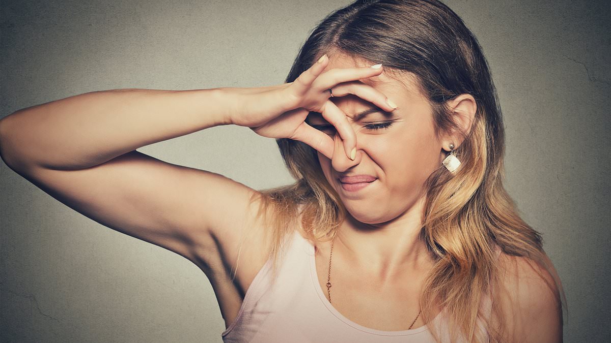 Revealed: What the smell of your BODY ODOUR says about you, according to science
