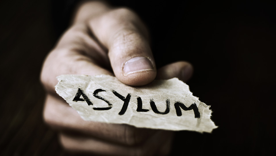 Georgia storms back up the Irish Asylum charts