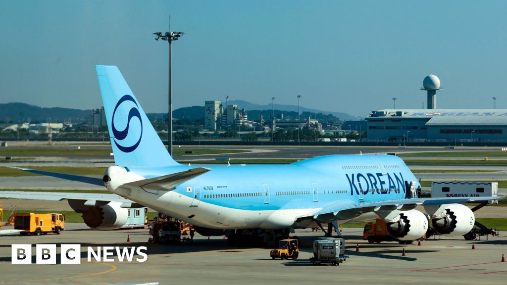 S Korea workers detained in US may see return home delayed