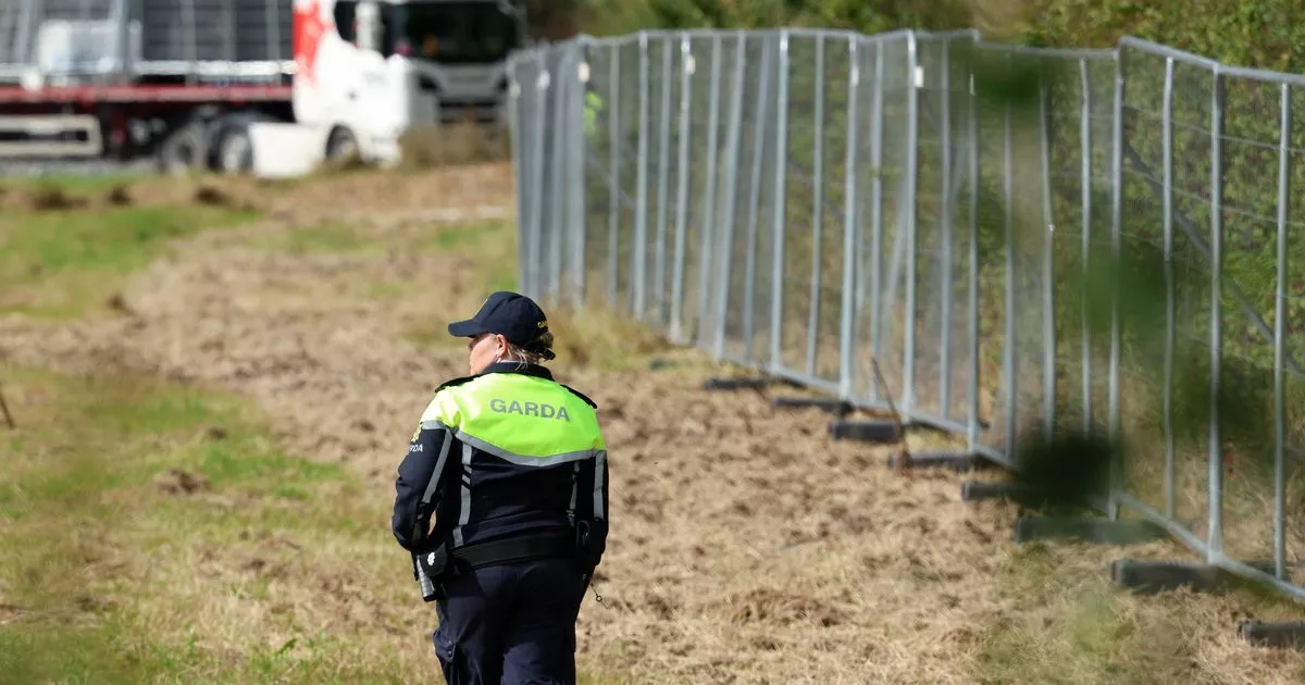 Missing boy feared dead in Dublin was 'buried with his favourite teddy bear'