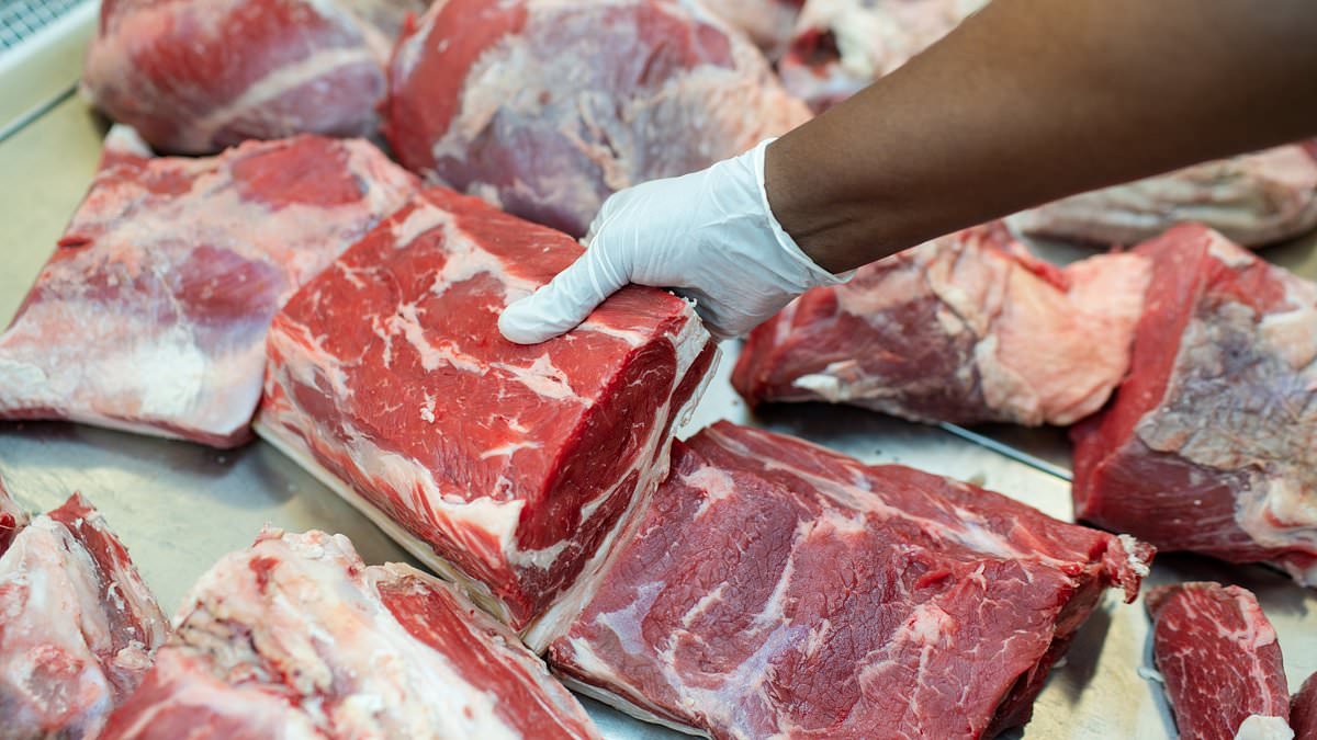 Urgent warning over smuggled MEAT thought to be behind surge in food poisoning outbreaks: 'Biggest food safety crisis since the horse meat scandal'