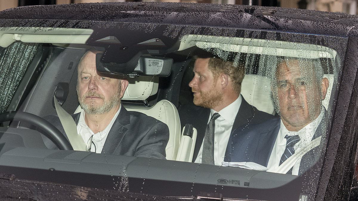 LIZ JONES: Harry is doing everything right and I am overjoyed at his long-awaited reunion with Charles - now mean William needs to get off his high horse