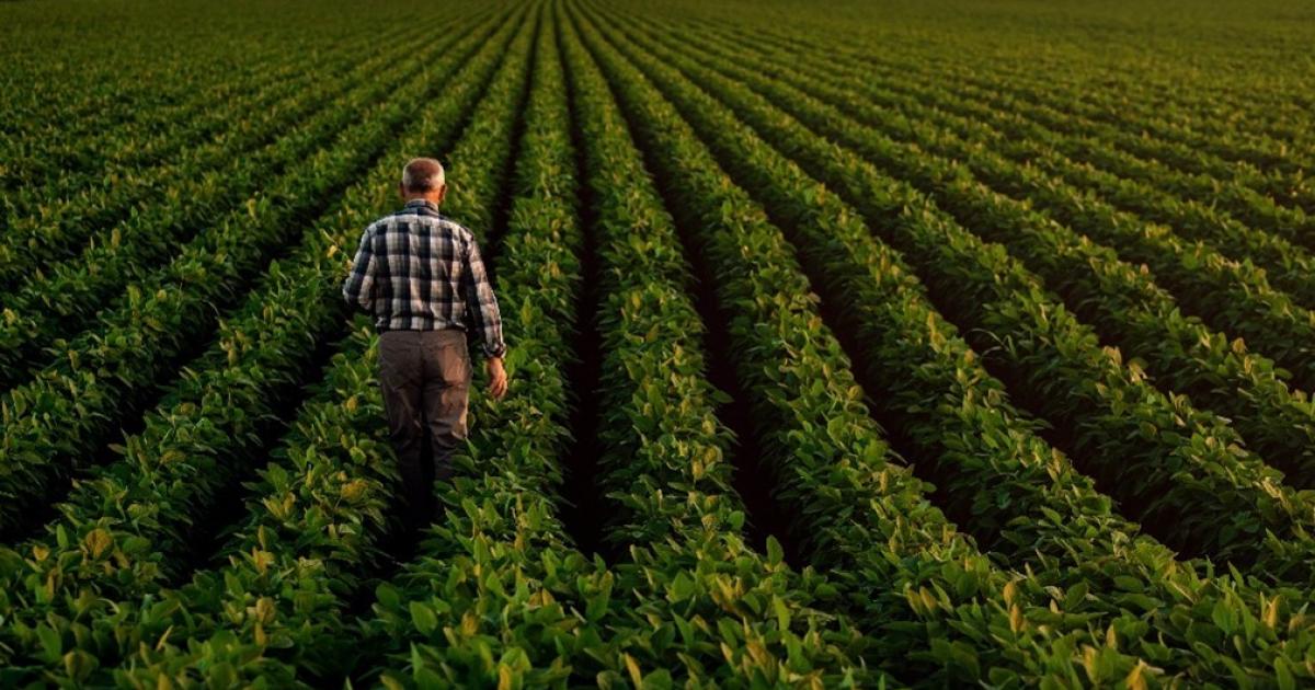 How Artificial Intelligence will shape the future of agriculture