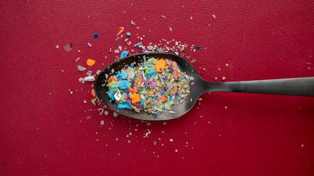 It's Time to Stop Eating Plastic. Start by Trashing These 7 Items Full of Microplastics