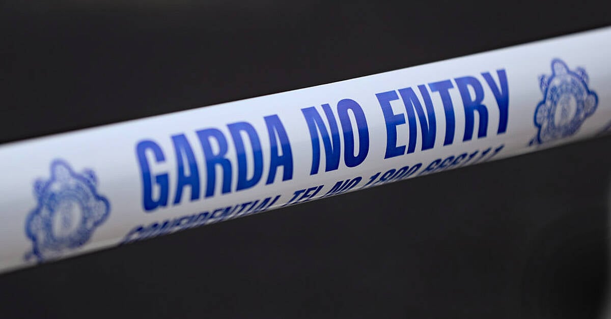 Several firefighters and Dublin Bus driver injured in collision 