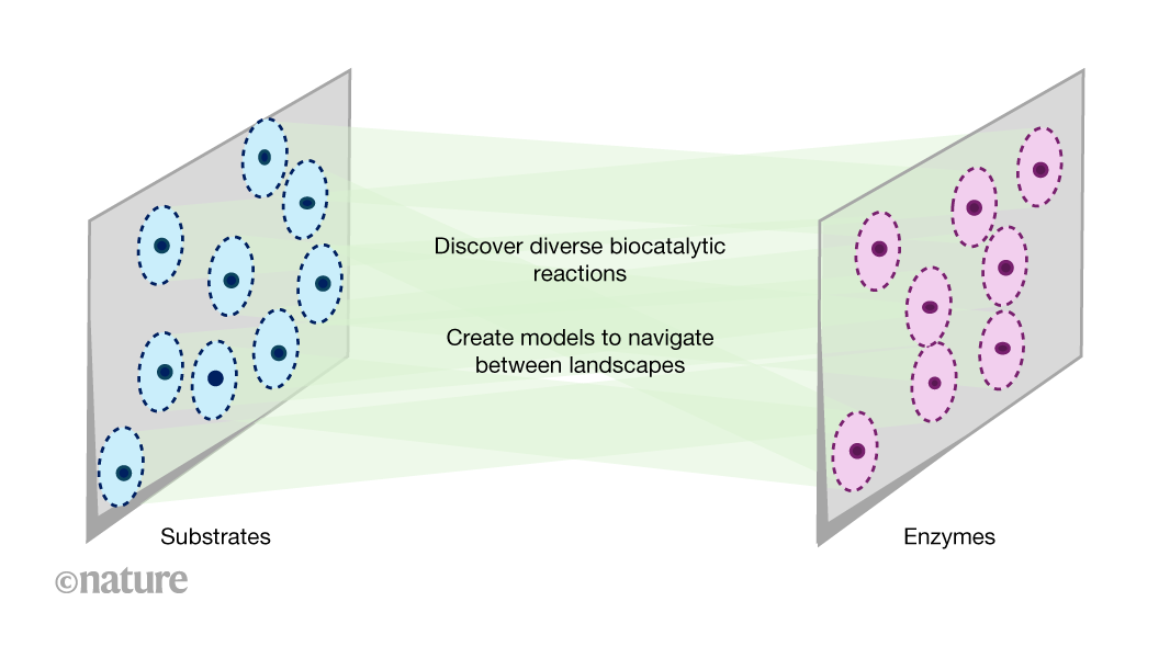 Machine learning matches enzymes with molecular substrates