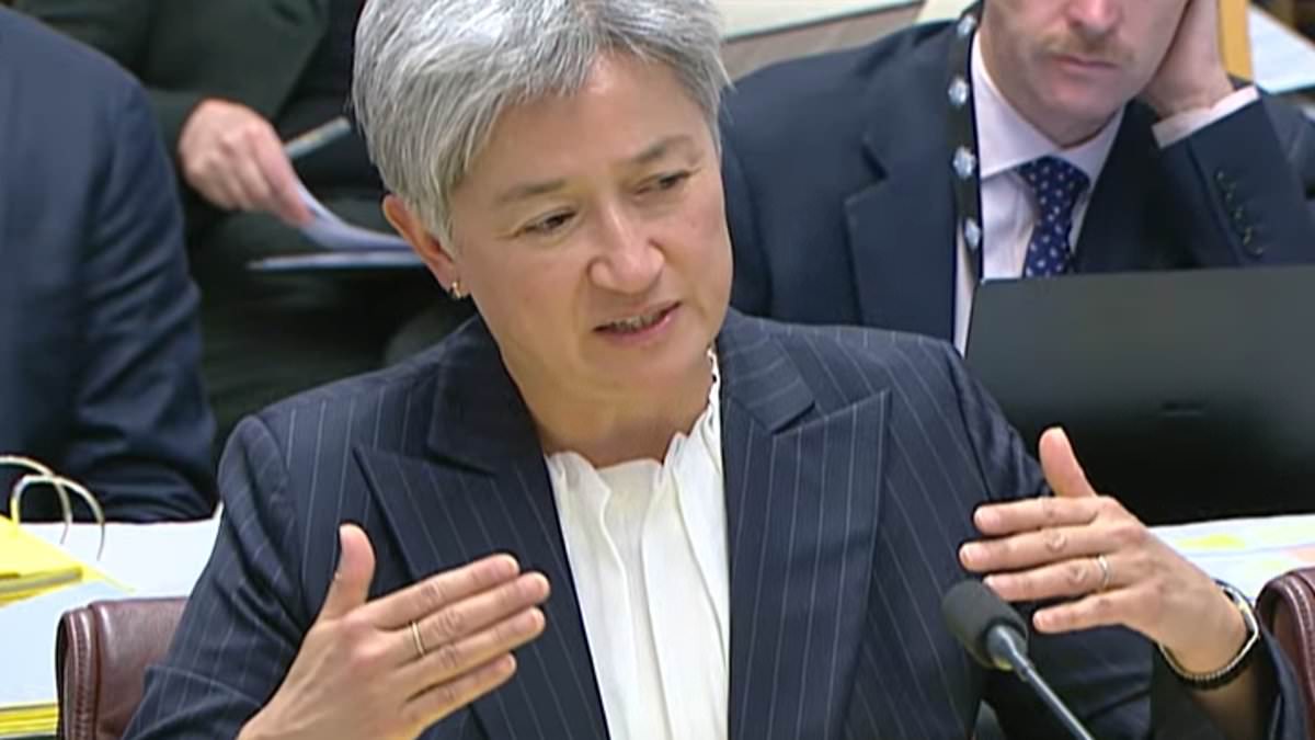 Awkward moment Penny Wong was left speechless when she was asked a very simple question about ISIS brides returning to Australia
