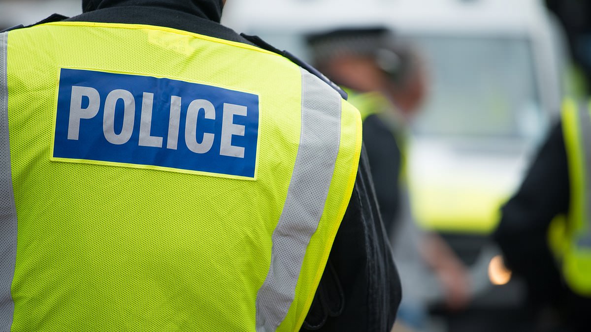 Tories urge stop and search blitz in crime hotspots: Police to get powers to carry out checks WITHOUT grounds for suspicion under Chris Philp plan