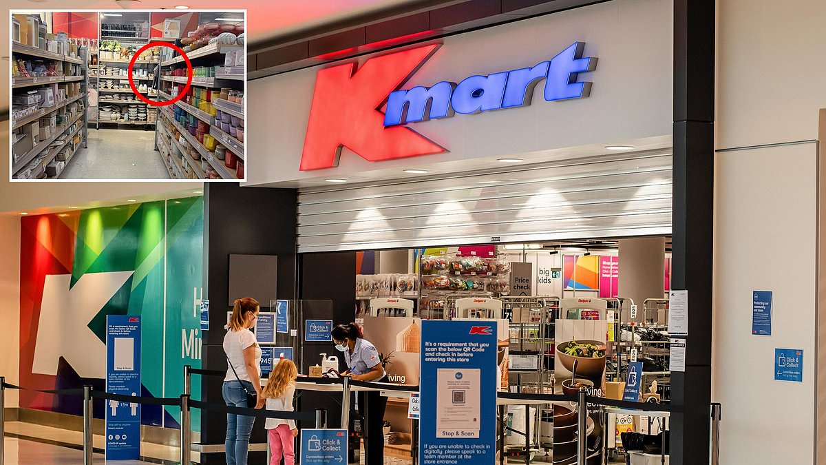 Shoppers are racing to Kmart for a $179 dupe of a cult $500 gadget - and it's already selling out