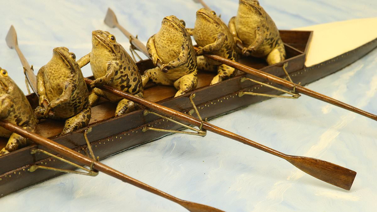 Inside Europe's 'weirdest' museum - home to hundreds of taxidermised frogs 'doing human things'