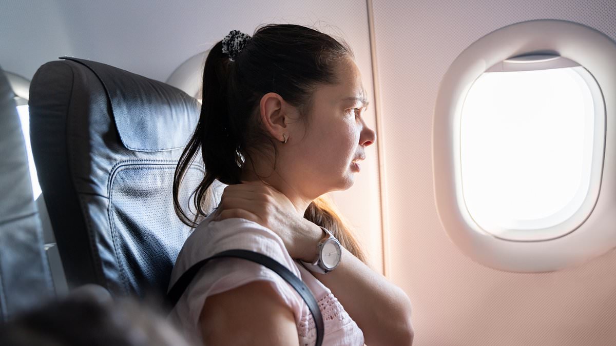 Holidaymaker shares a DIY pillow hack to avoid headrest pain on flights