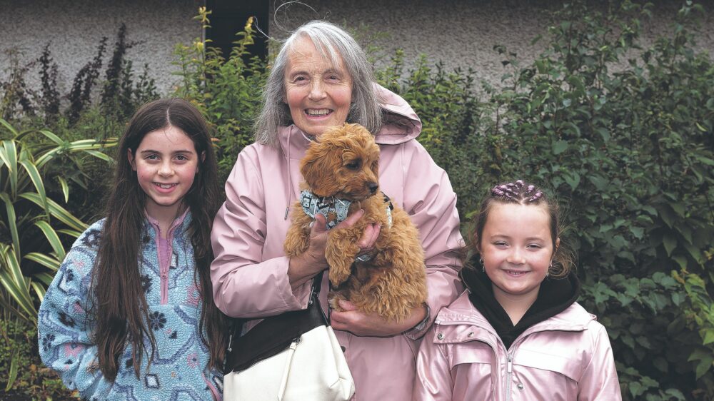 Four-legged parishioners receive a special blessing during service
