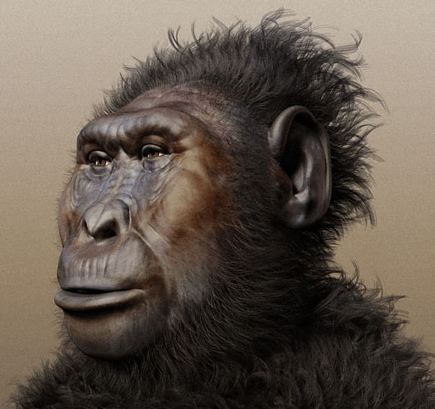 Million-year-old fossil changes what we know about human hands and feet