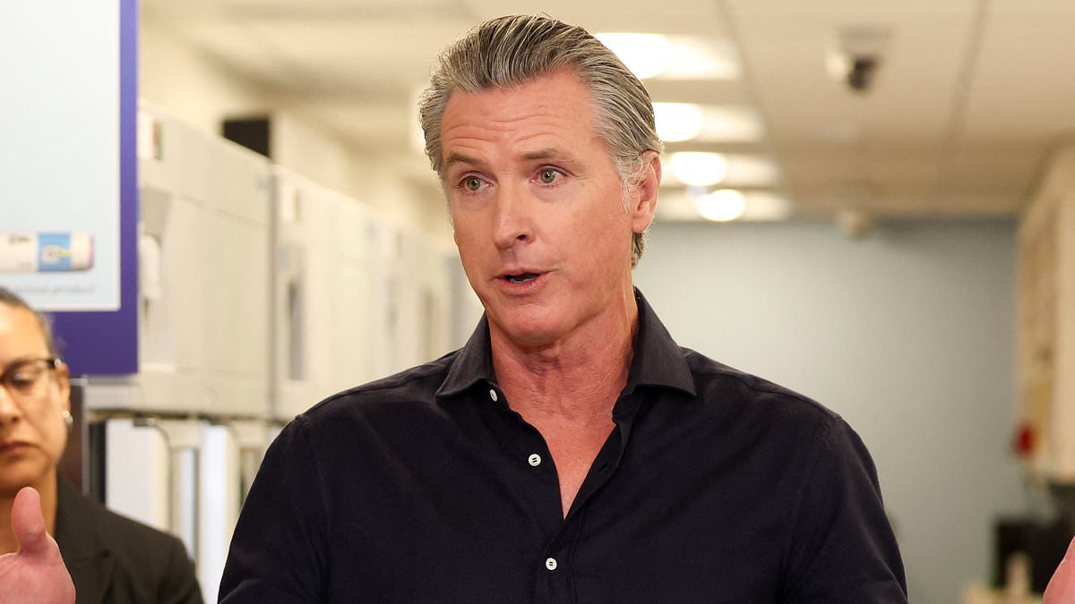Gavin Newsom slams plans to fire artillery over California highway