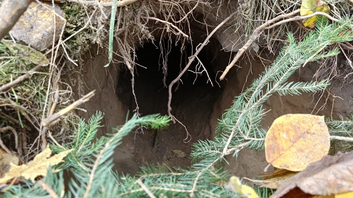 Poland not an isolated case: The secret tunnel system of migrants
