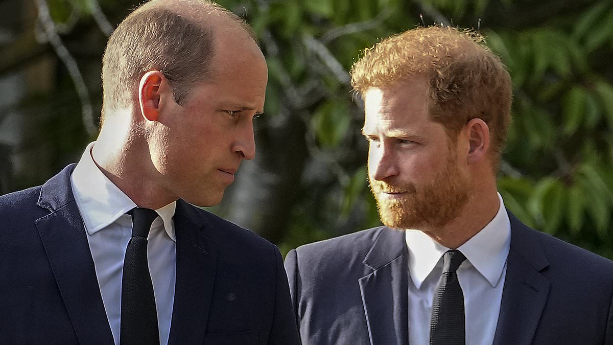 Royal author: William and Harry were 'heartsick' by parents' separation