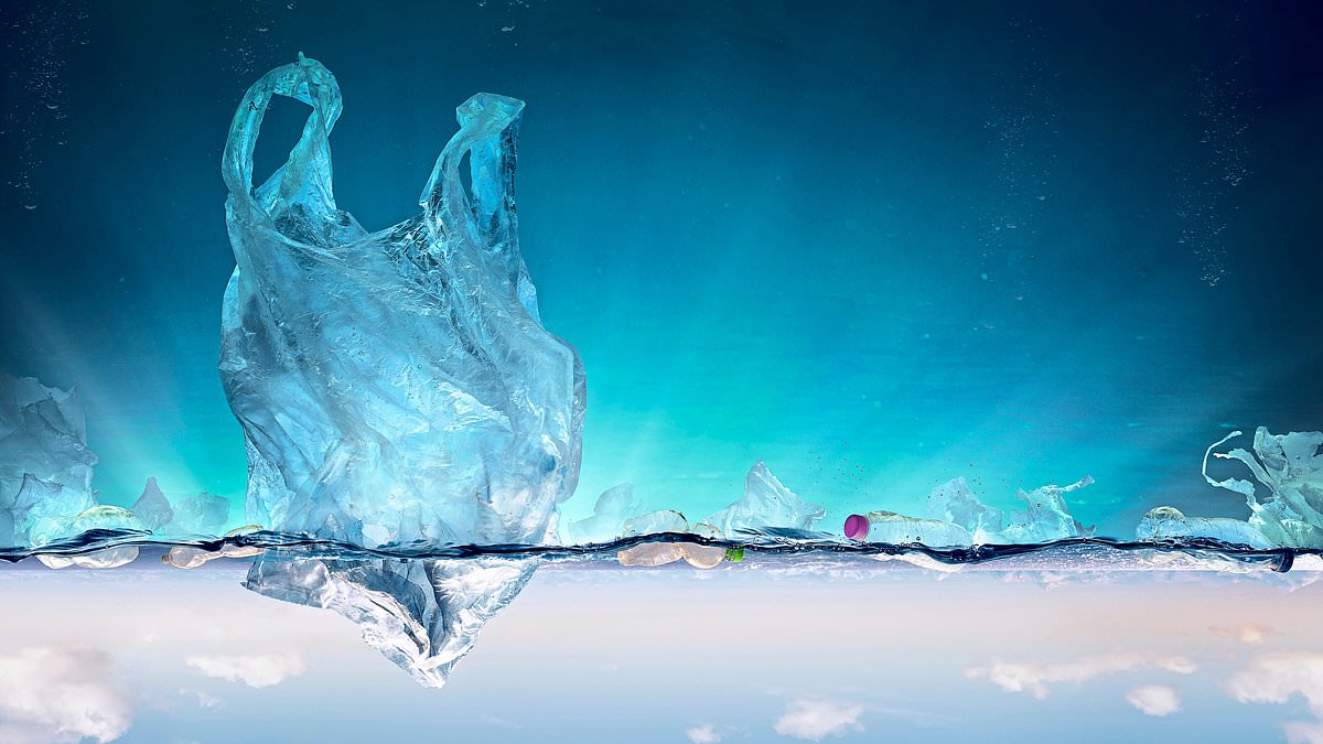 The ten ways to limit your exposure to microplastics: They're in everything from our water to kitchen utensils and even our curtains, but this is how you CAN protect yourself
