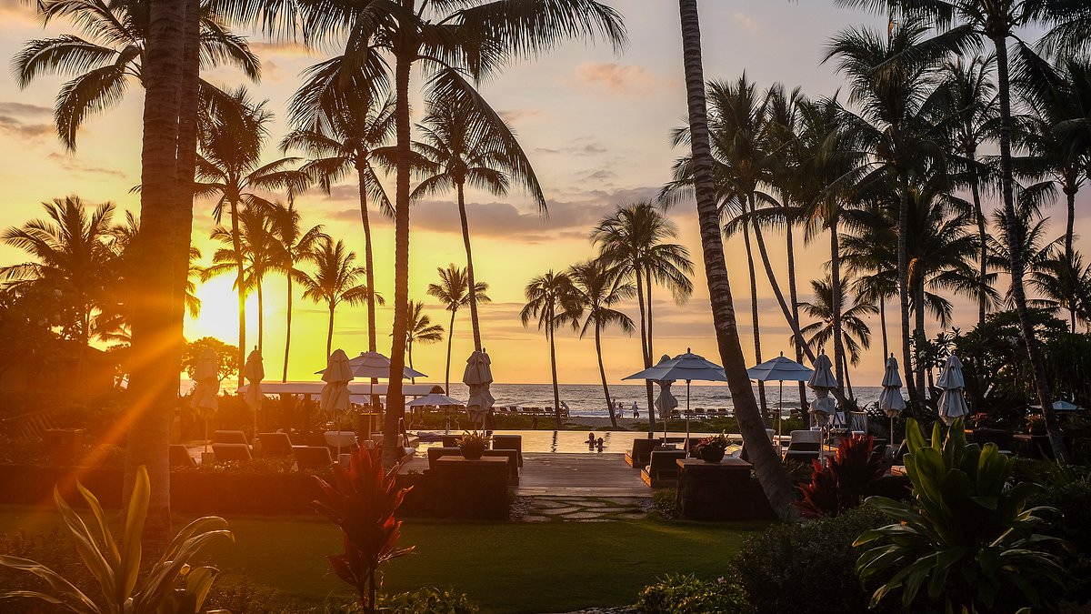 Hawaii locals fear the worst as invasive beast threatens to destroy island's stunning palm trees