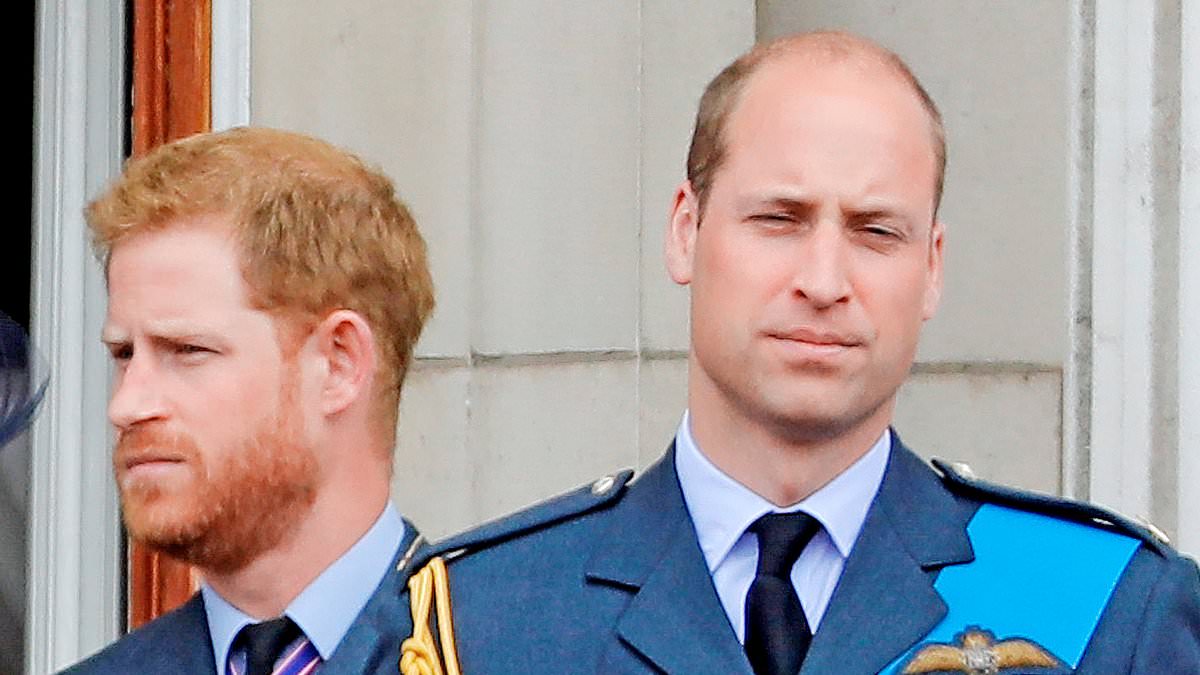 Why Prince Harry's comments about him and William being on 'different paths' ring true - as brothers show no signs of reconciling six years later