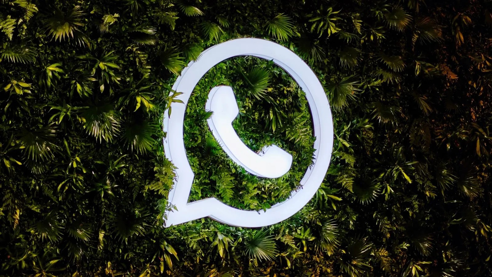 WhatsApp revises business API terms to ban AI chatbot rivals like ChatGPT, Perplexity