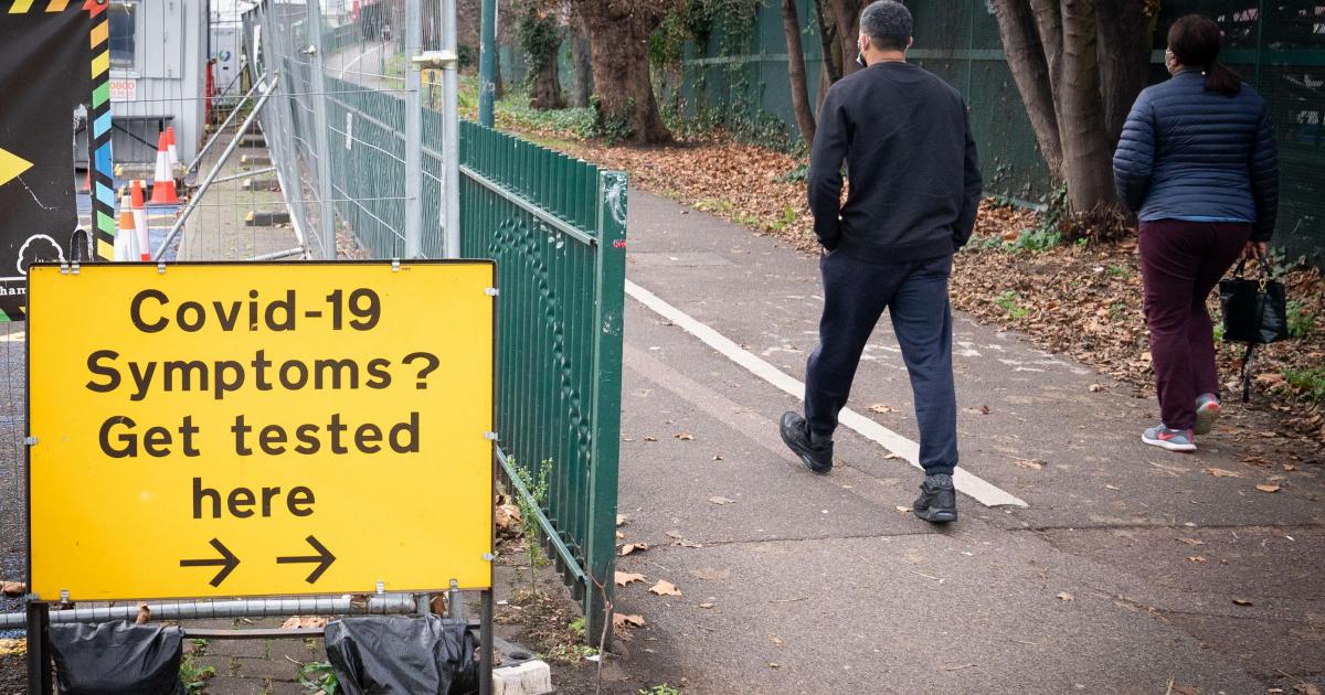 Former Labour MP ran 'shoddy and inadequate' Covid testing lab making £6m in 3 weeks