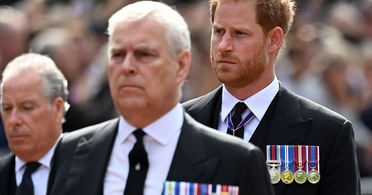 Prince Harry's red-hot fury over Palace's Prince Andrew decision after Meghan promise