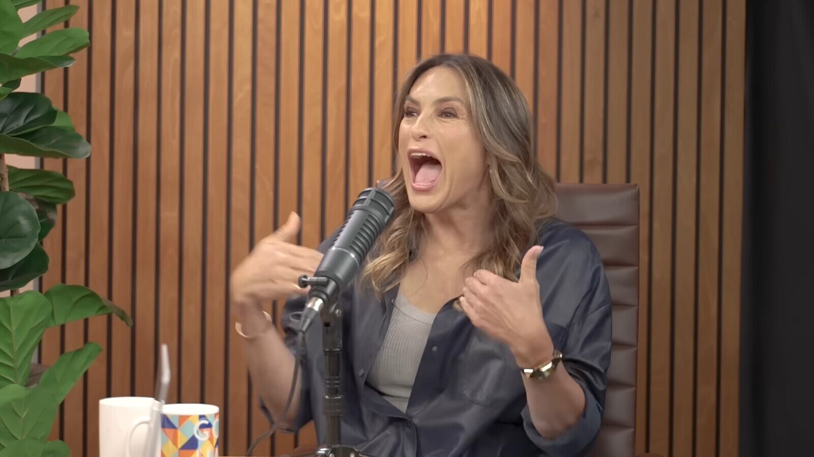 Mariska Hargitay Says She Should Have Been A Comedian Instead of ‘America’s Sweetheart Sex Cop’