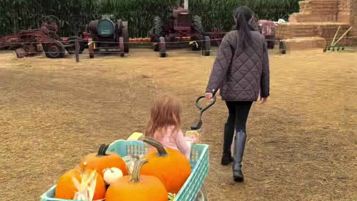 All the details you may have missed from Harry and Meghan's pumpkin patch
