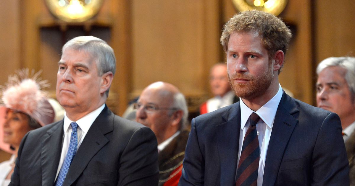 Prince Harry's blistering feelings on Prince Andrew laid bare after Meghan vow