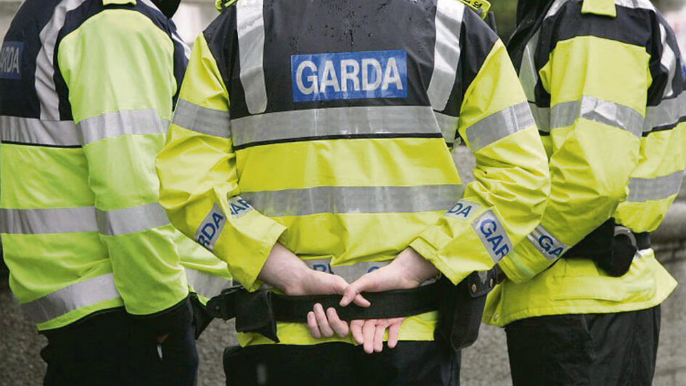 Woman injured by fireworks and missiles thrown at gardai