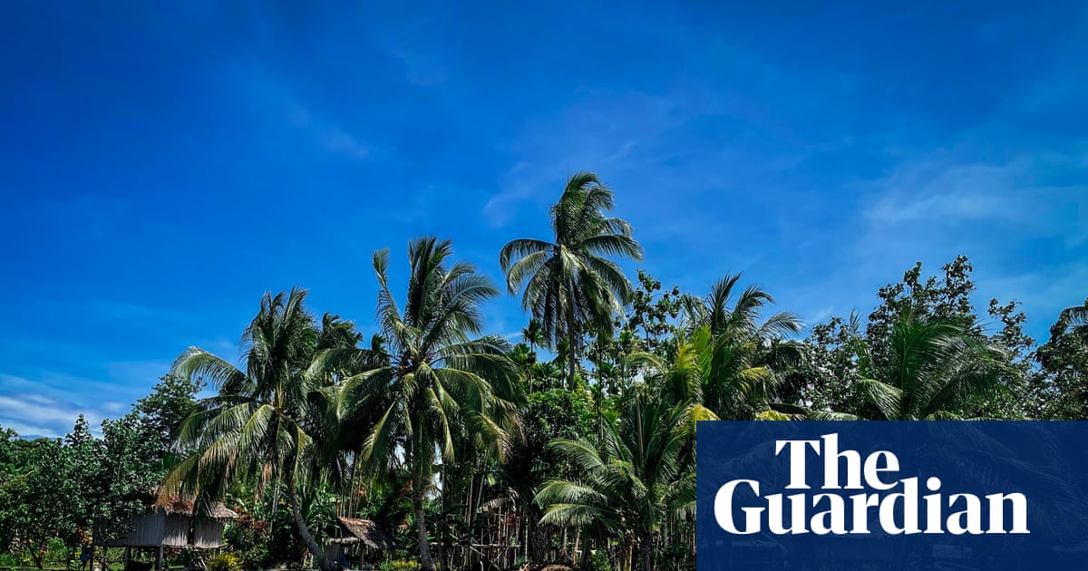 ‘Long on talk and short on action’: Papua New Guinea leader criticises Cop climate summits ahead of Brazil meeting