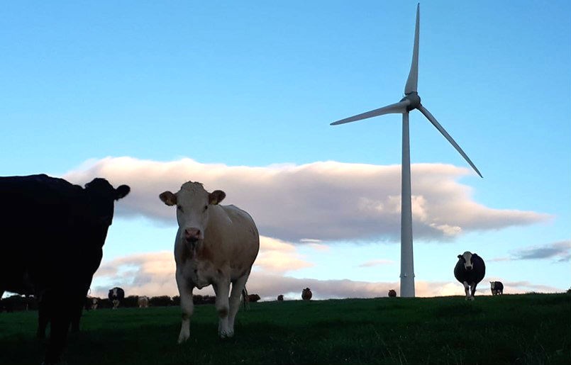 High Court deems wind turbine quieter than “a washing machine” as judicial review quashed
