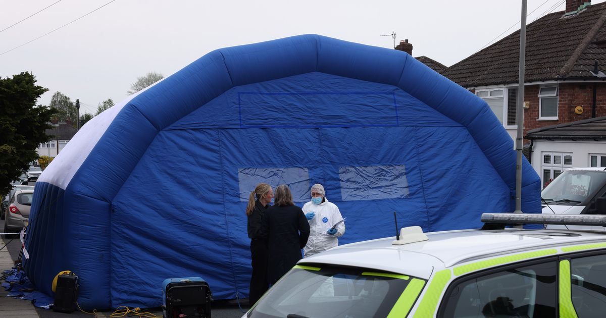 They struck up a 'bromance' but within hours it ended in murder