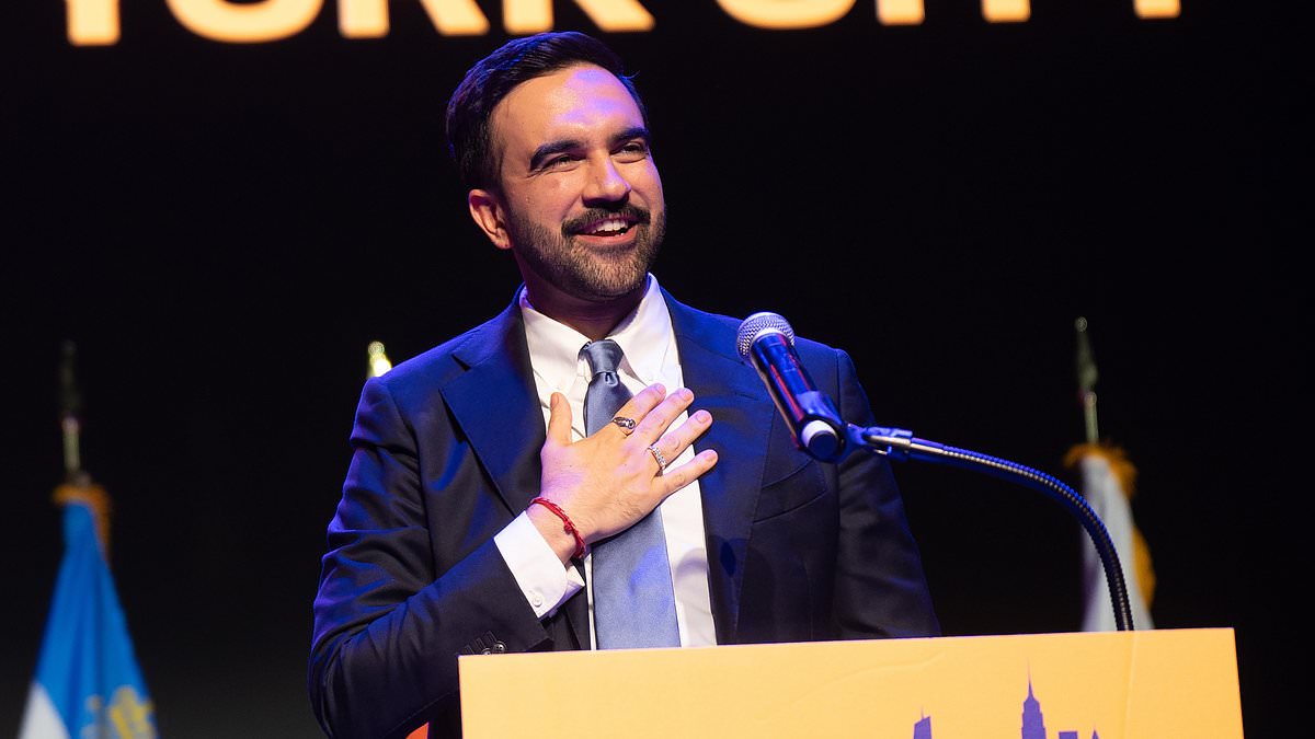 Democrats fear New York's socialist mayor will play into Trump's hands