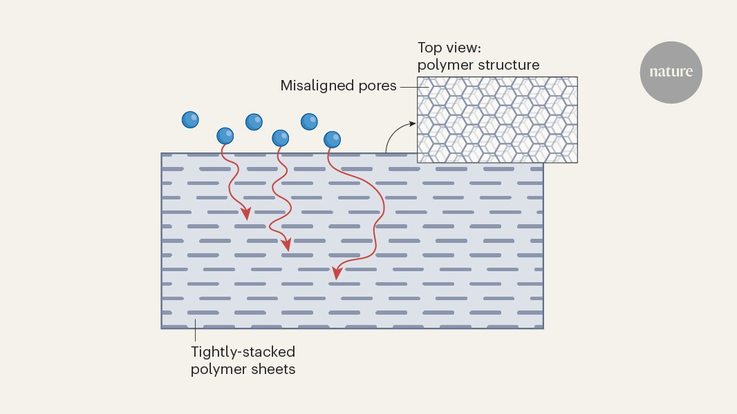 Ultrathin films of a 2D polymer provide airtight seal