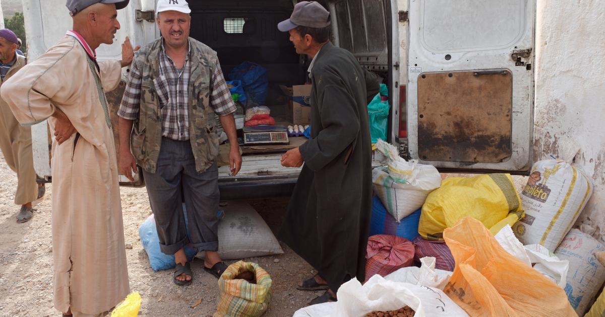 Argan oil co-operatives in Morocco 'pushed to margins'