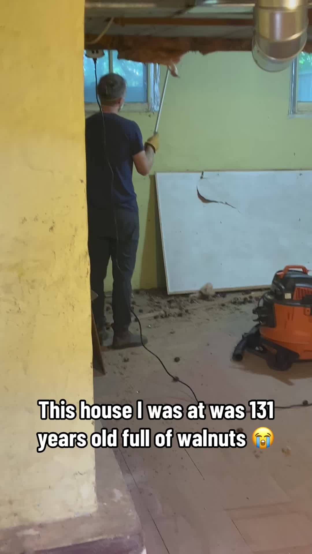 The full ceiling 😭 @Barstool Outdoors (via:@Nyneve)