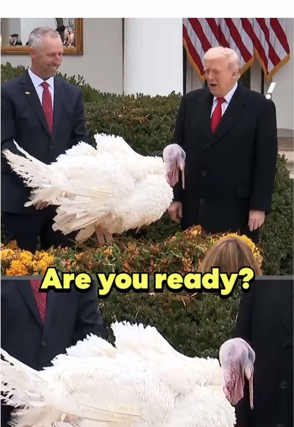 President Trump pardoned two turkeys, Gobble and Waddle, sparing them from the Thanksgiving table. While Waddle couldn’t make it to the ceremony, Gobble happily posed for photos. “This is a lucky day for them,” Trump said from the White House Rose Garden. #news #politics #trump #thanksgiving #turkey