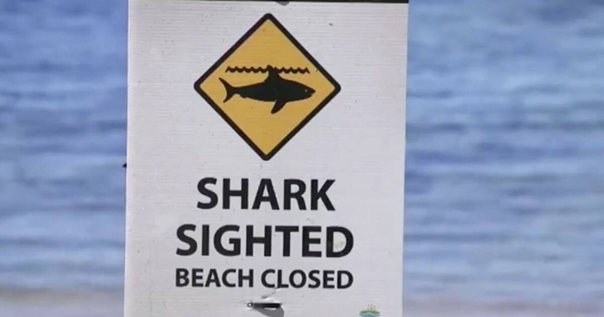 Australia shark attack: Woman mauled to death and man seriously injured at popular spot