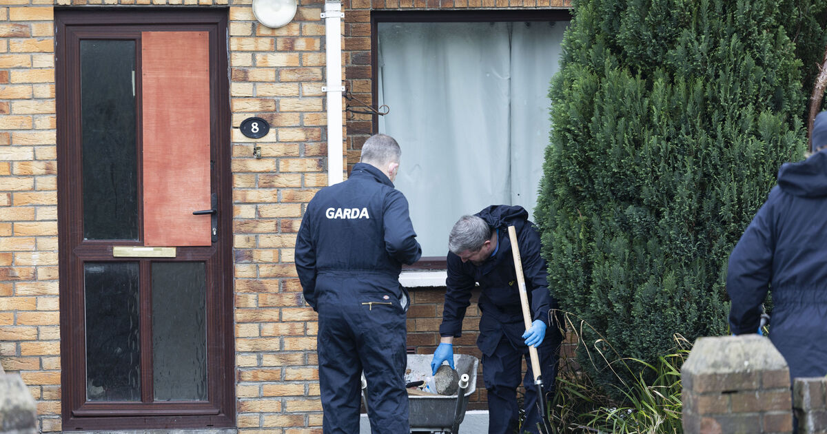 Gardaí suspect organised crime group ordered Clondalkin fire attack