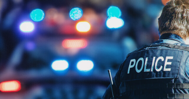 More Gun Control Failure: California Couple Shot Dead in Driveway