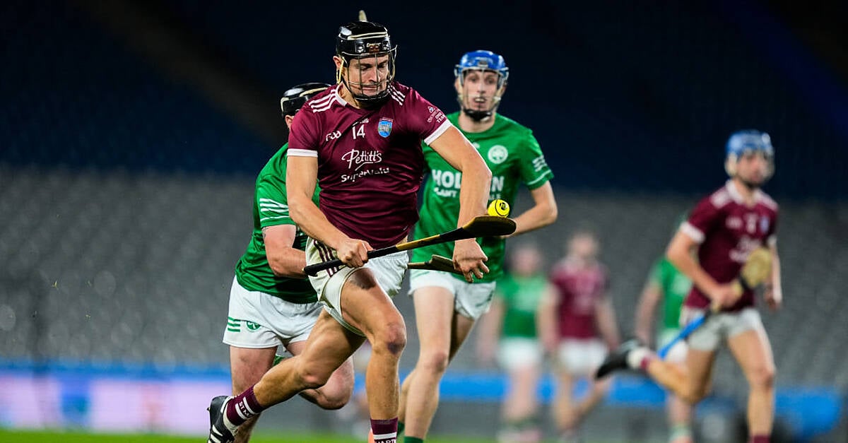 St Martin's new Leinster hurling champions after beating Ballyhale Shamrocks