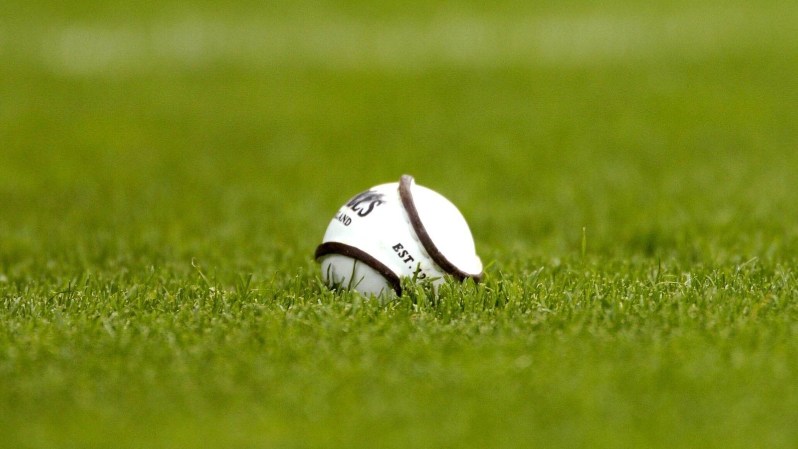 Dessain-Gelinet named new CEO of Camogie Association