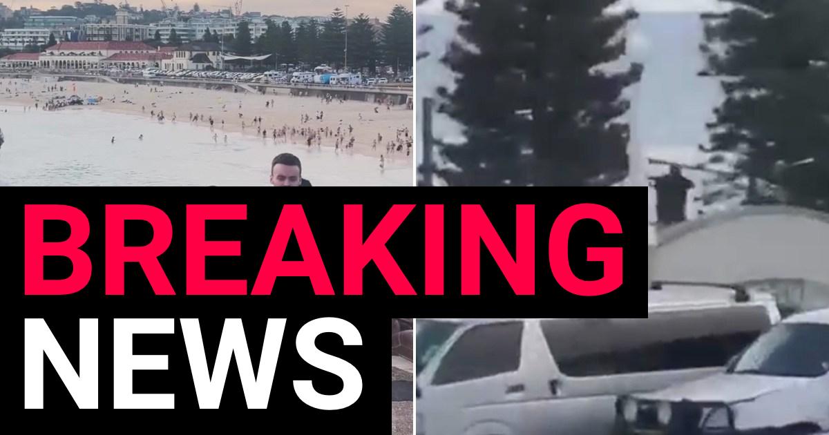 At least 10 killed in mass shooting at Bondi Beach