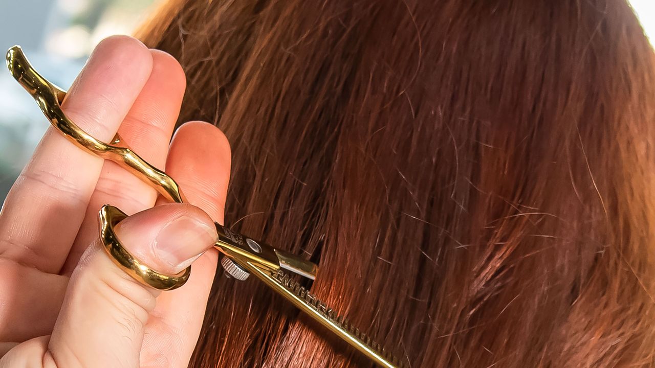 Does Hair Grow Faster When You Cut It? Stylists Set the Record Straight