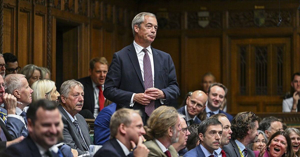 'Shouted down!' Carol Malone exposes truth about Farage PMQs protest