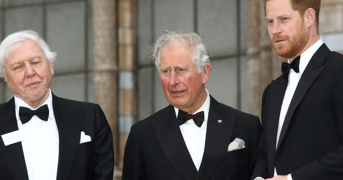 Charles faces ‘sadness’ as William and Harry remain ‘as far apart as ever’