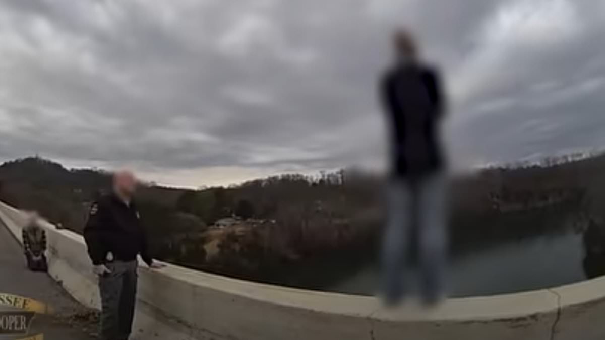 Heart-stopping video shows what happened as distraught woman went to leap off bridge as cops pleaded with her