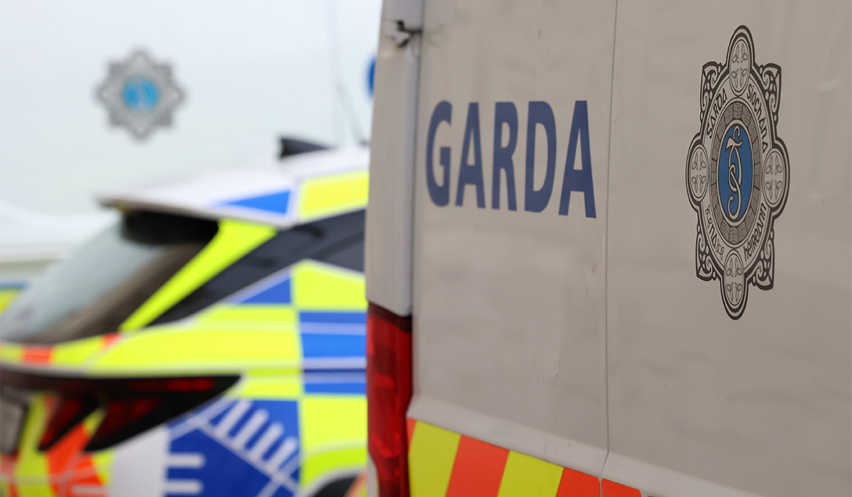 Bodies of man and boy found at separate Dublin locations