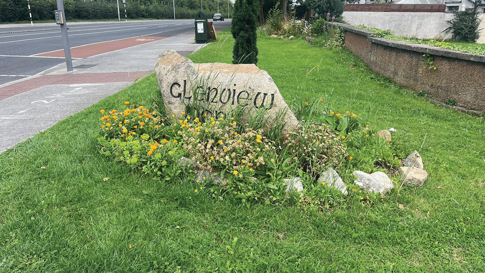 Latest IBAL says Tallaght is ‘clean to European norms’